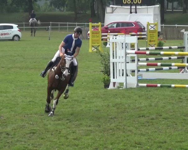 Reitturnier Gardelegen 2015