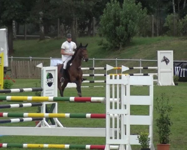 Reitturnier Gardelegen 2015