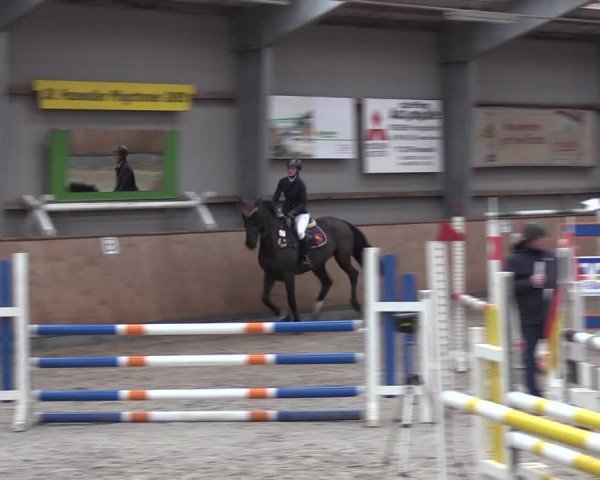 Reitturnier Pasewalk 2021
