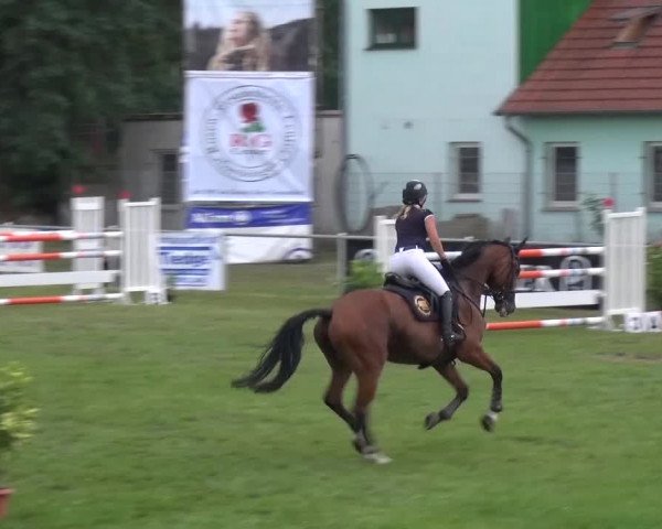 Reitturnier Gardelegen 2015