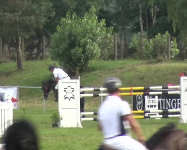 Reitturnier Gardelegen 2015