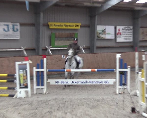 Reitturnier Pasewalk 2021