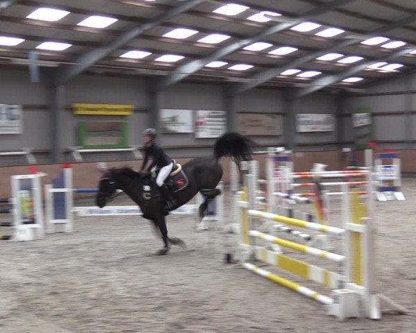 Reitturnier Pasewalk 2021