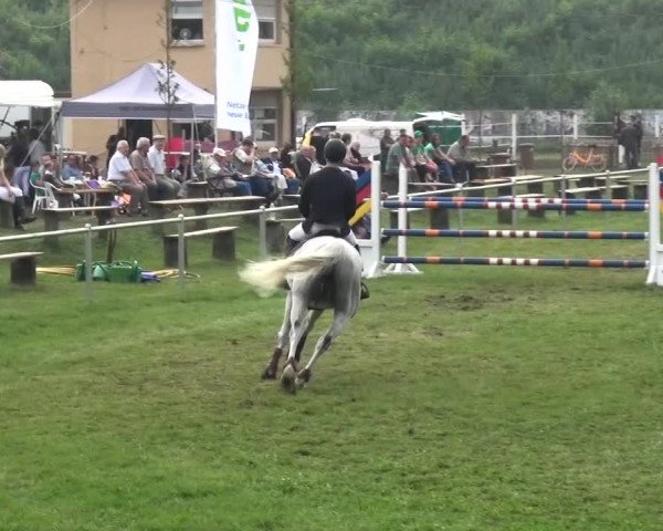Reitturnier Gardelegen 2015