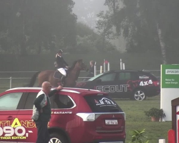 Reitturnier Gardelegen 2015