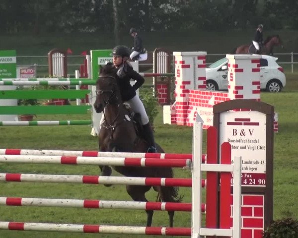 Reitturnier Gardelegen 2015