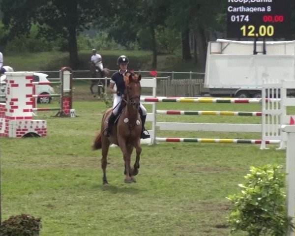 Reitturnier Gardelegen 2015