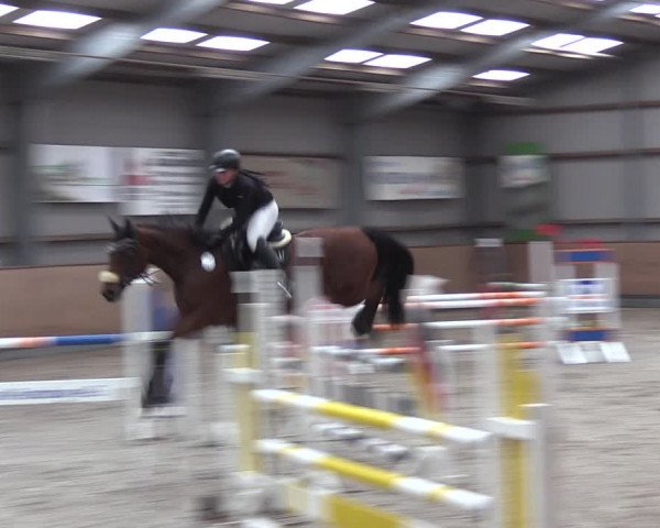 Reitturnier Pasewalk 2021