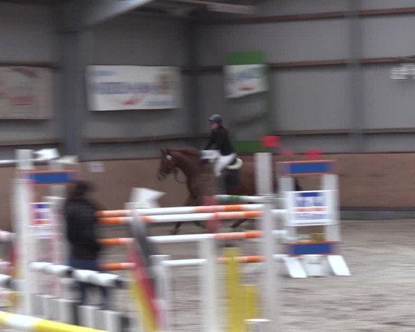 Reitturnier Pasewalk 2021