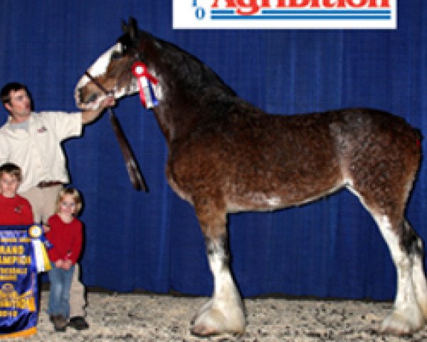 broodmare Grandview Justin's Oracle (Clydesdale, 2005, from Grandview Eli's Just-In-Step)