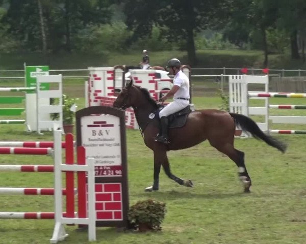 Reitturnier Gardelegen 2015