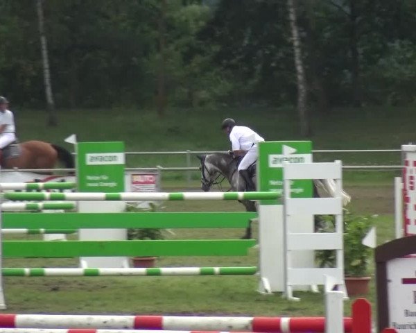 Reitturnier Gardelegen 2015
