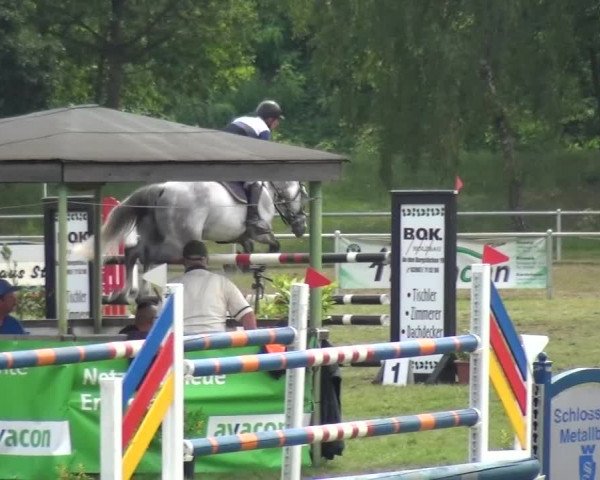 Reitturnier Gardelegen 2015