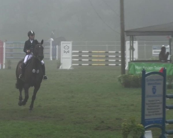 Reitturnier Gardelegen 2015