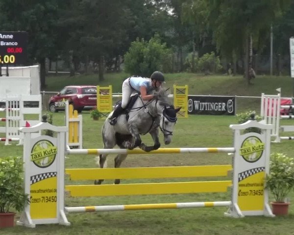 Reitturnier Gardelegen 2015