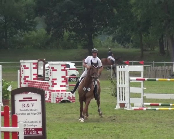Reitturnier Gardelegen 2015
