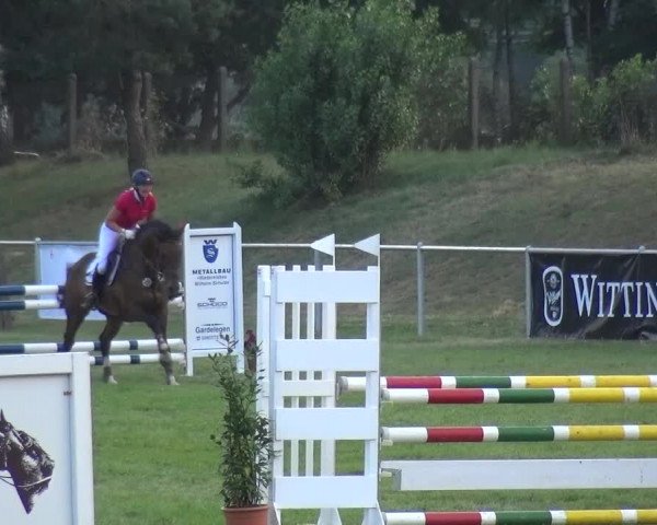 Reitturnier Gardelegen 2015