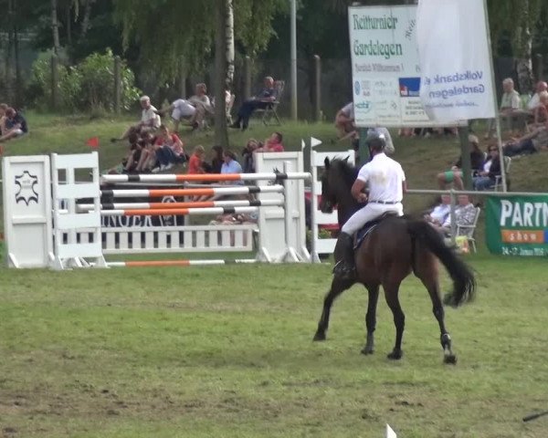 Reitturnier Gardelegen 2015