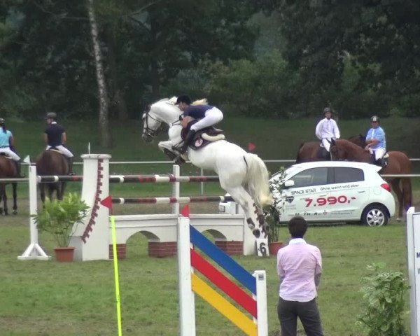 Reitturnier Gardelegen 2015