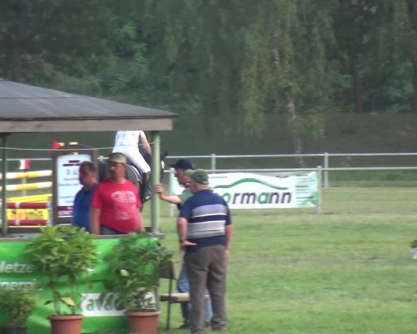 Reitturnier Gardelegen 2015