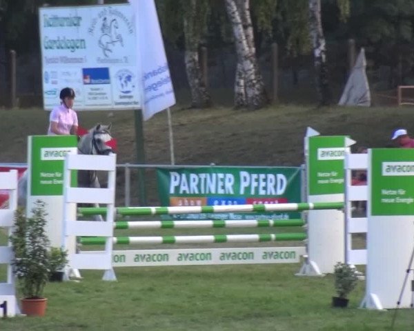 Reitturnier Gardelegen 2015