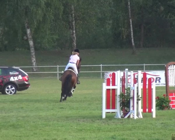 Reitturnier Gardelegen 2015