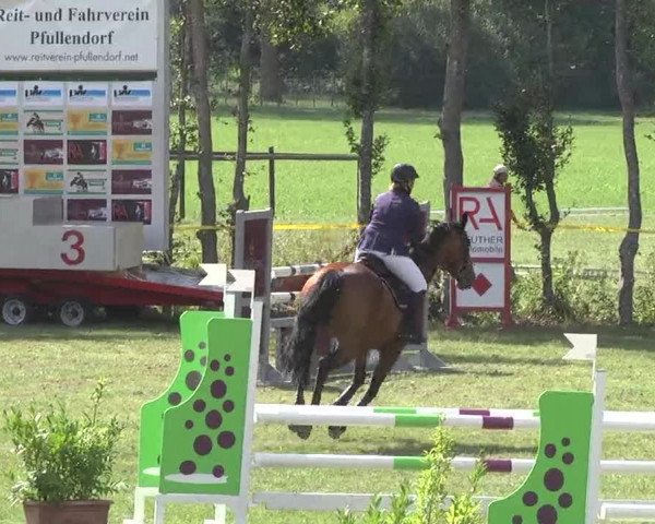 Reitturnier Pfullendorf 2015