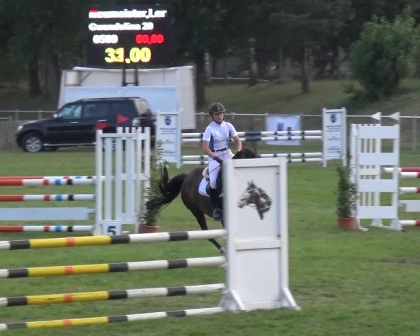Reitturnier Gardelegen 2015