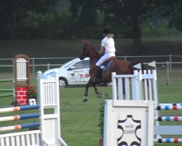 Reitturnier Gardelegen 2015