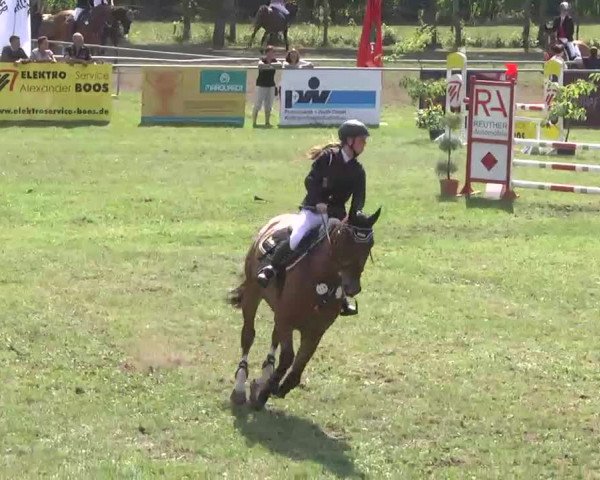 Reitturnier Pfullendorf 2015
