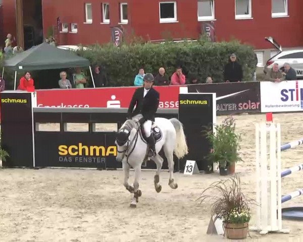 HORSE classics Killingen 2015
