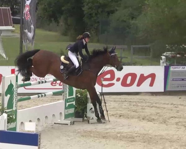 HORSE classics Killingen 2015