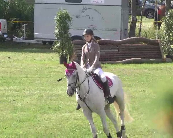 Reitturnier Pfullendorf 2015