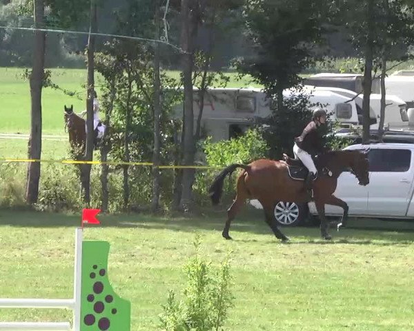 Reitturnier Pfullendorf 2015