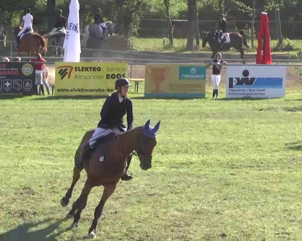 Reitturnier Pfullendorf 2015