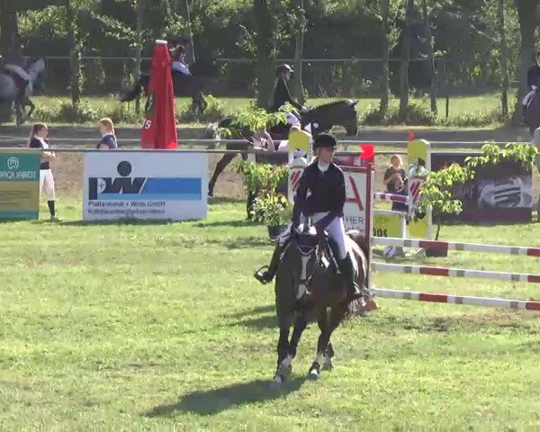 Reitturnier Pfullendorf 2015