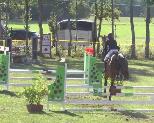 Reitturnier Pfullendorf 2015