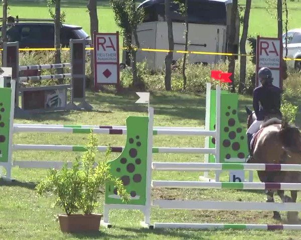 Reitturnier Pfullendorf 2015