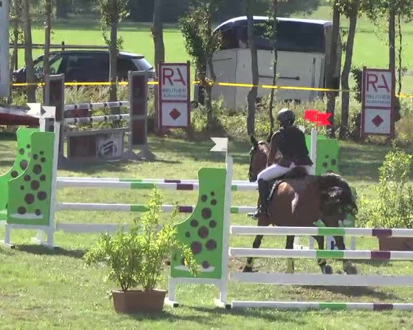 Reitturnier Pfullendorf 2015