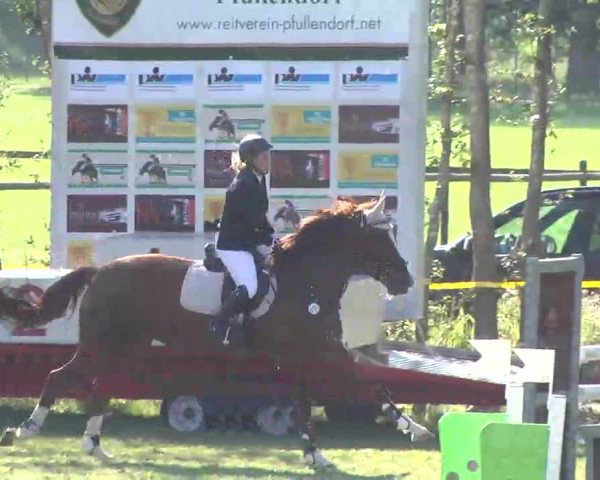 Reitturnier Pfullendorf 2015