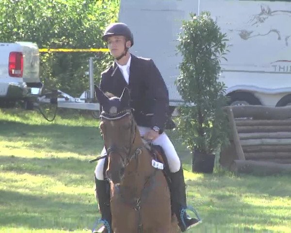 Reitturnier Pfullendorf 2015