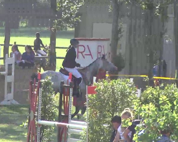 Reitturnier Pfullendorf 2015