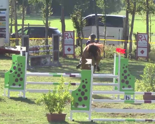 Reitturnier Pfullendorf 2015