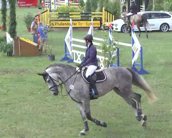 Reitturnier Pfullendorf 2015