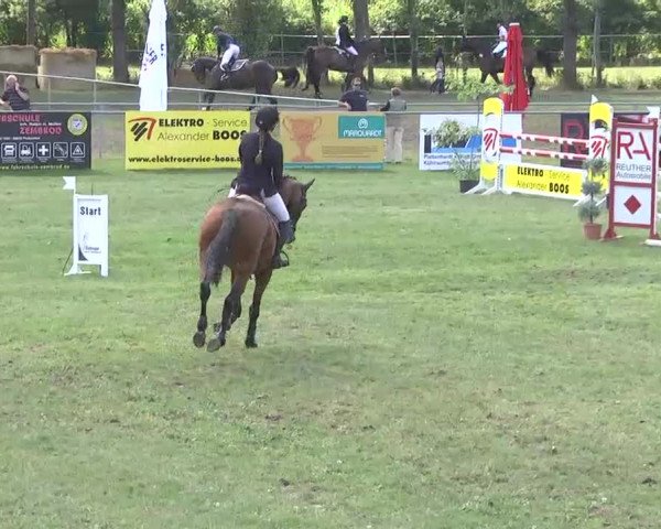 Reitturnier Pfullendorf 2015