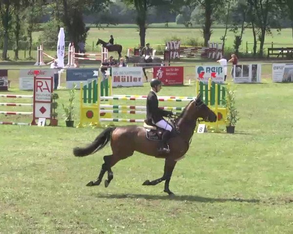 Reitturnier Pfullendorf 2015