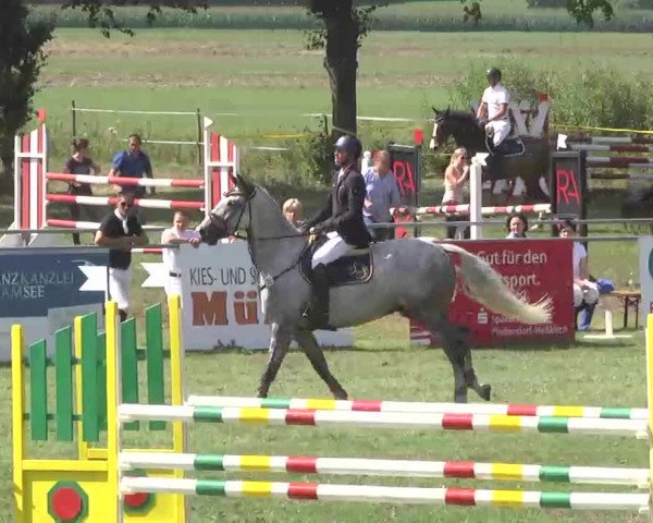 Reitturnier Pfullendorf 2015