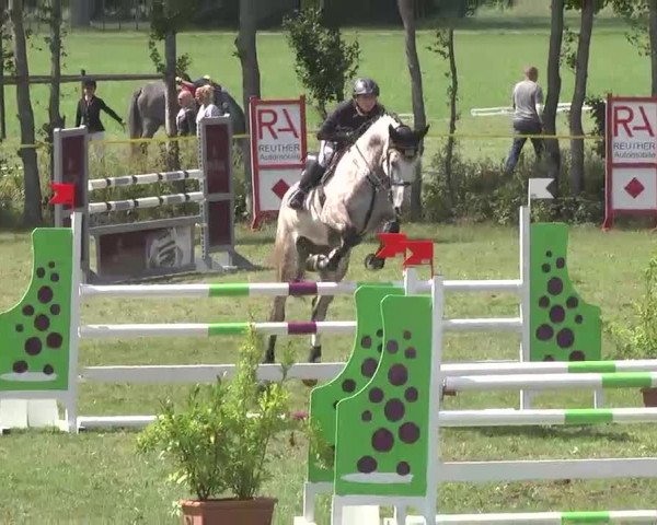 Reitturnier Pfullendorf 2015