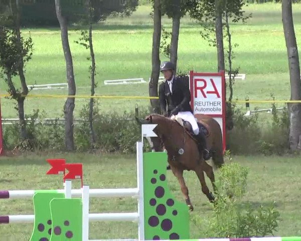 Reitturnier Pfullendorf 2015