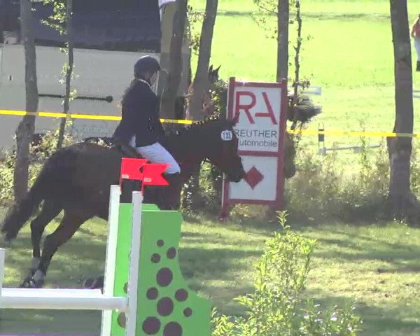 Reitturnier Pfullendorf 2015